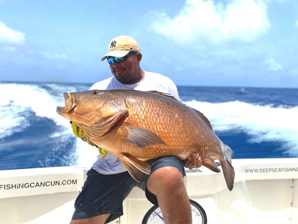 grouper bottom fishing cancun