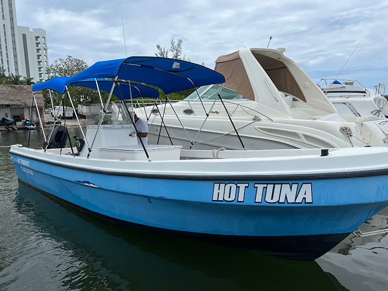 Panga Fishing Cancun | Hot tuna